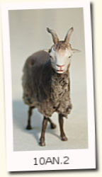 Cabras-