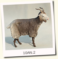 Cabras-